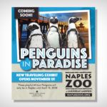 Penguins in Paradise - Naples Zoo Advertisement